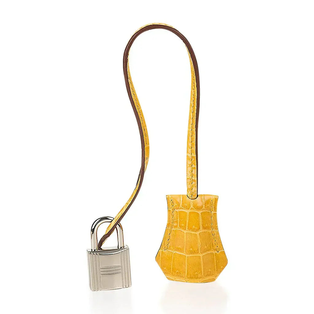 👜Birkin Touch 30 Bag Jaune Ambre Crocodile / Togo Limited Edition