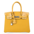👜Birkin Touch 30 Bag Jaune Ambre Crocodile / Togo Limited Edition