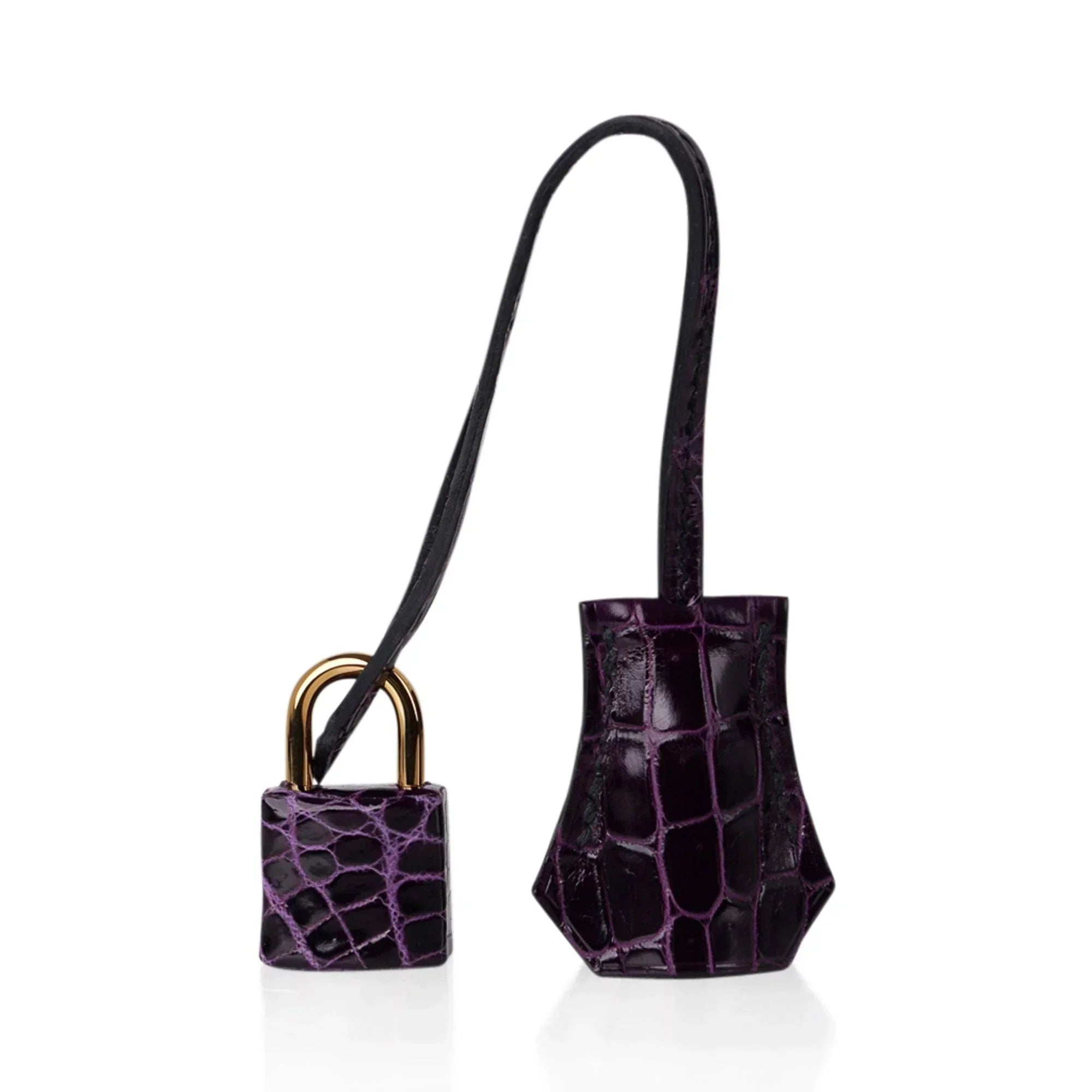 👜Birkin 25 Bag Aubergine Niloticus Crocodile with Gold Hardware