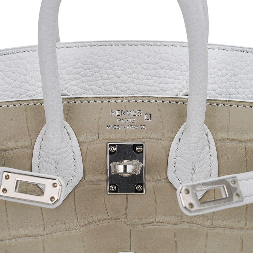 👜Limited Edition Birkin 20 Faubourg Sellier Bag Neige (Snow) White Matte Alligator