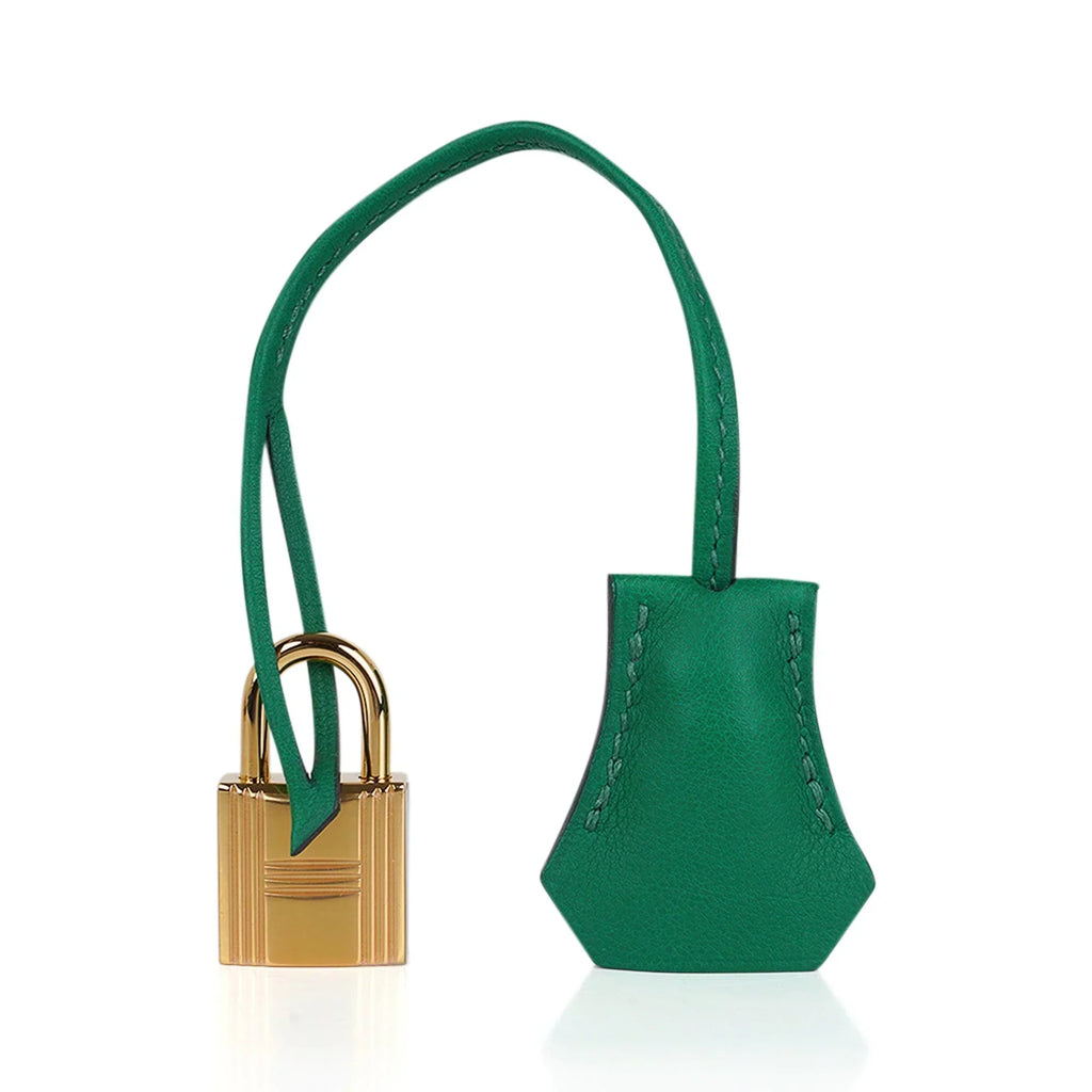👜Birkin 25 Bag in Cactus Swift Leather with Gold Hardware