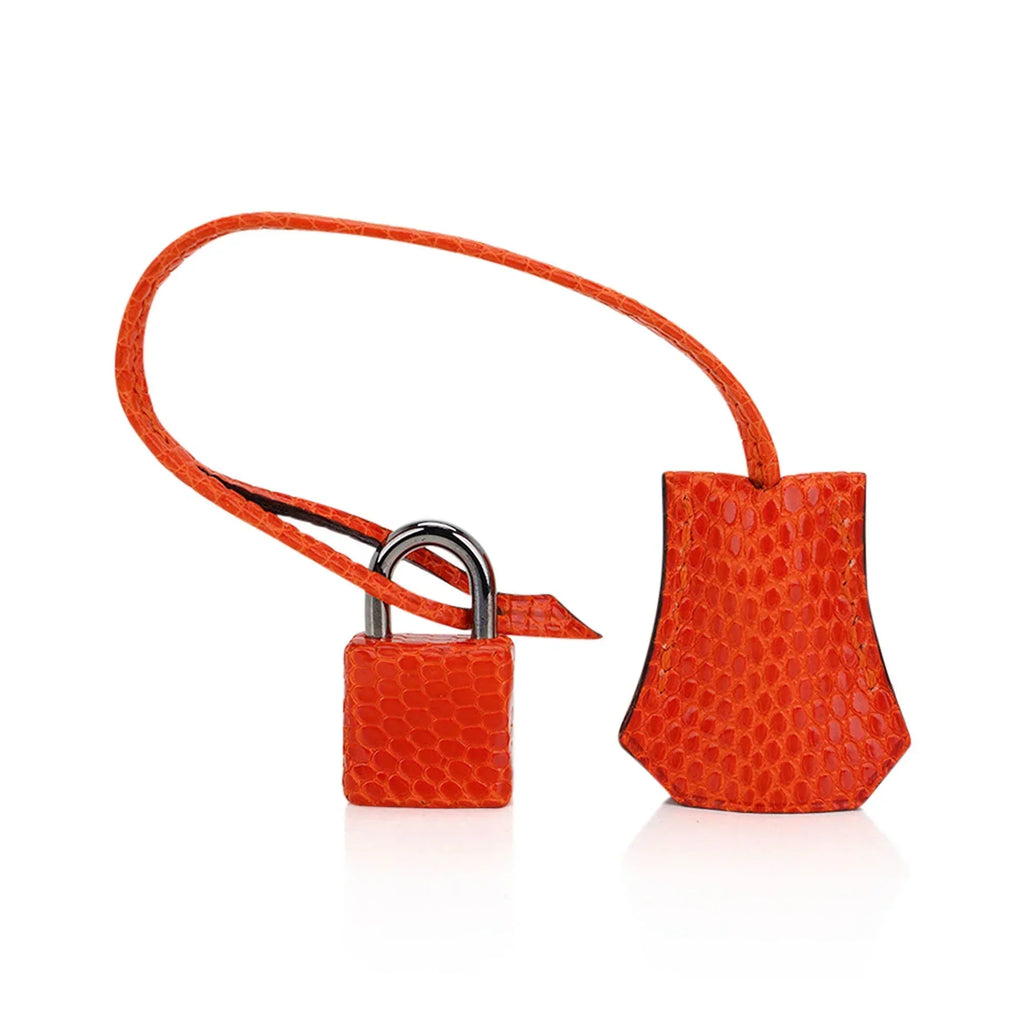👜Birkin 25 Bag Orange Tangerine Lizard with Ruthenium Hardware