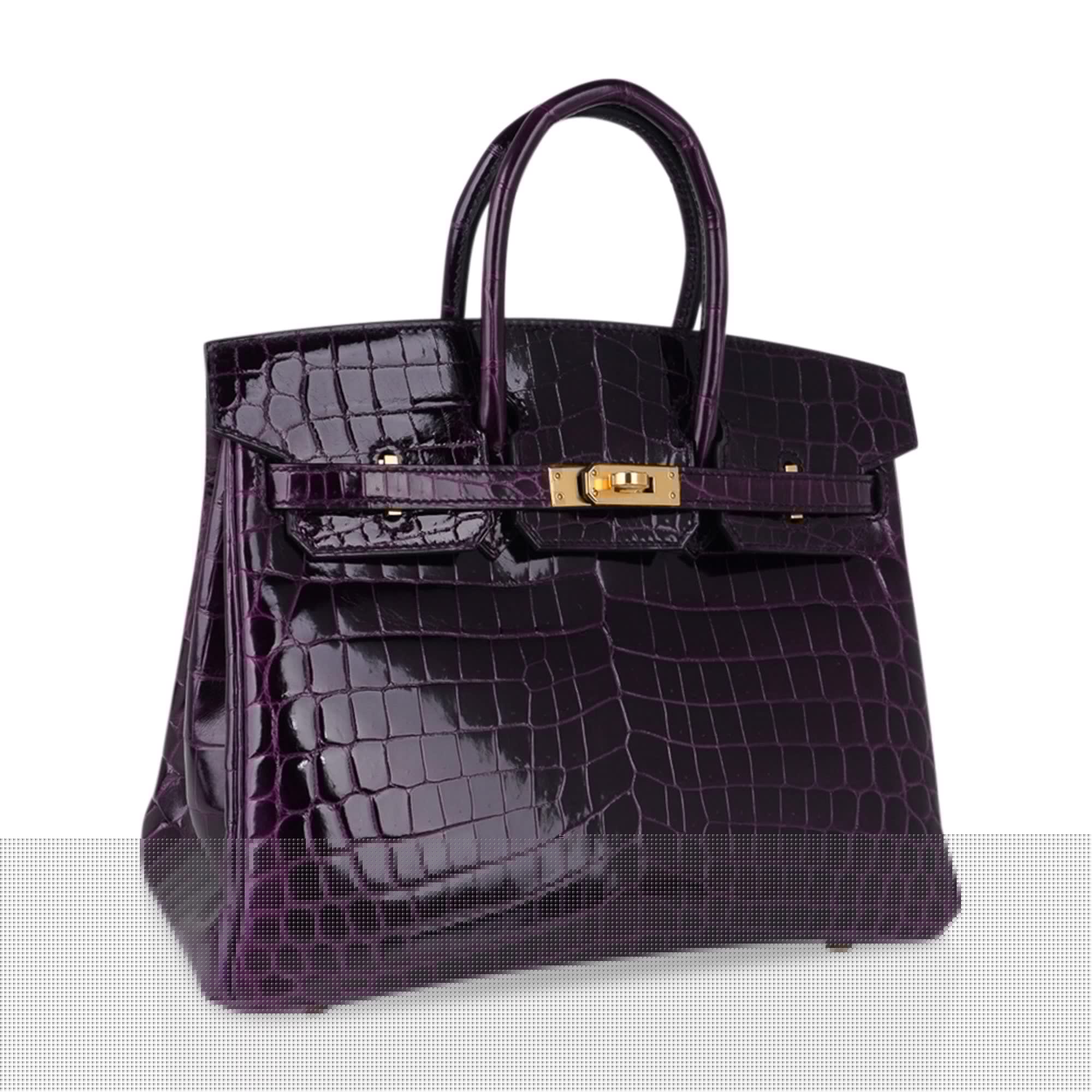 👜Birkin 25 Bag Aubergine Niloticus Crocodile with Gold Hardware