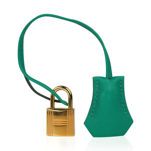 👜Birkin 25 Bag Vert Vertigo Swift Gold Hardware
