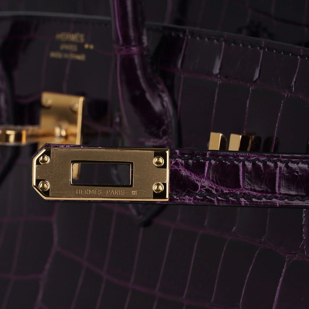 👜Birkin 25 Bag Aubergine Niloticus Crocodile with Gold Hardware