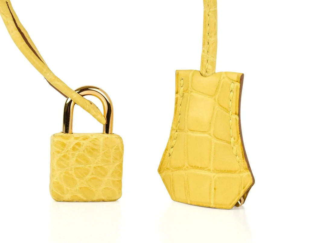 👜Birkin 35 Bag Matte Alligator Mimosa Gold Hardware Crazy Fabulous