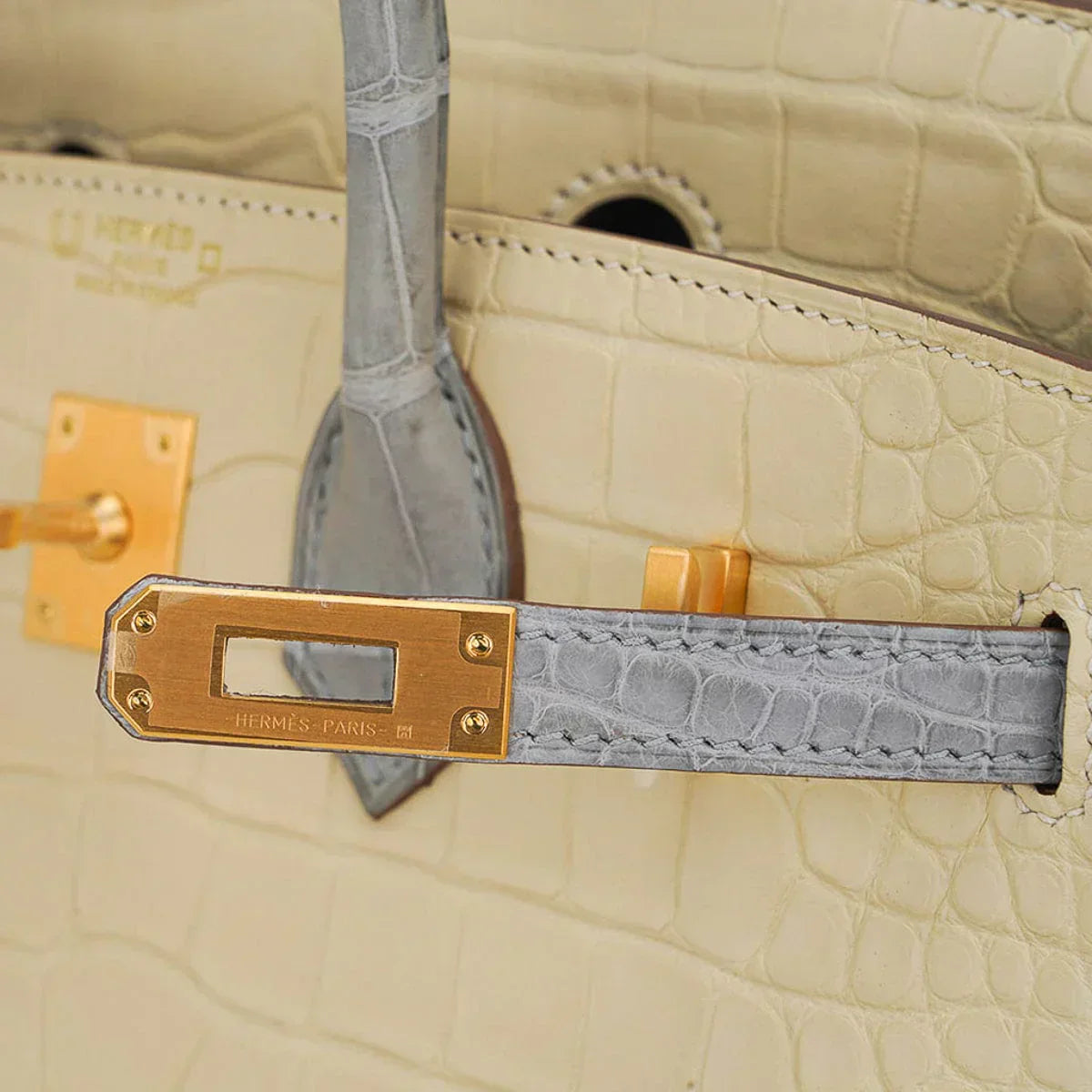 👜Special Order HSS Birkin 25 Bag in Matte Alligator Vanille and Gris Pearl Alligator with Brushed Gold Hardware