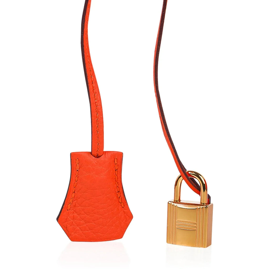 👜Birkin 35 Bag Feu Orange Togo Gold Hardware
