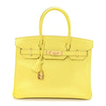 👜Birkin25 Sellier Jaune Milton Veau Epsom Silver Handbag