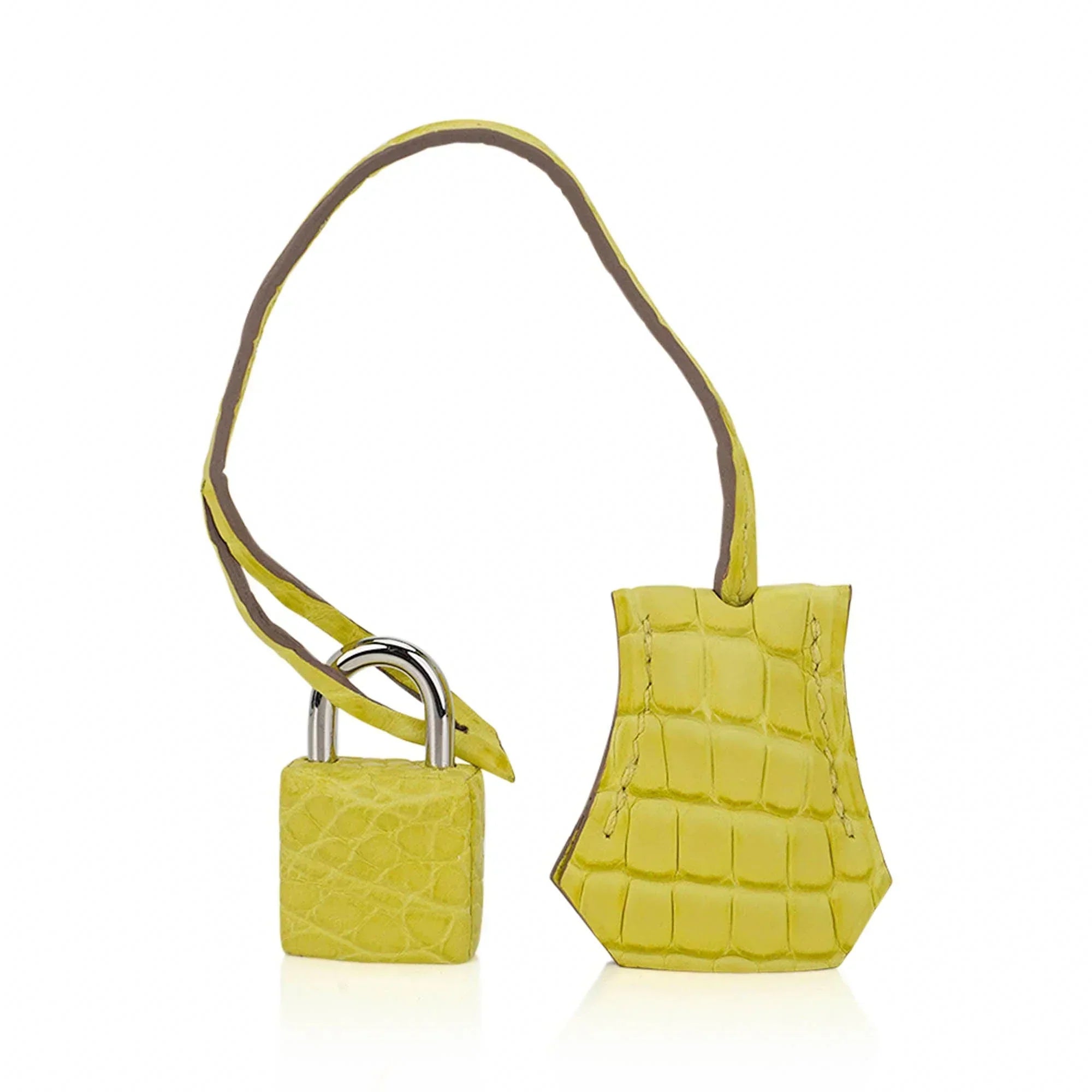👜Birkin 25 Bag Lime Matte Alligator with Palladium Hardware
