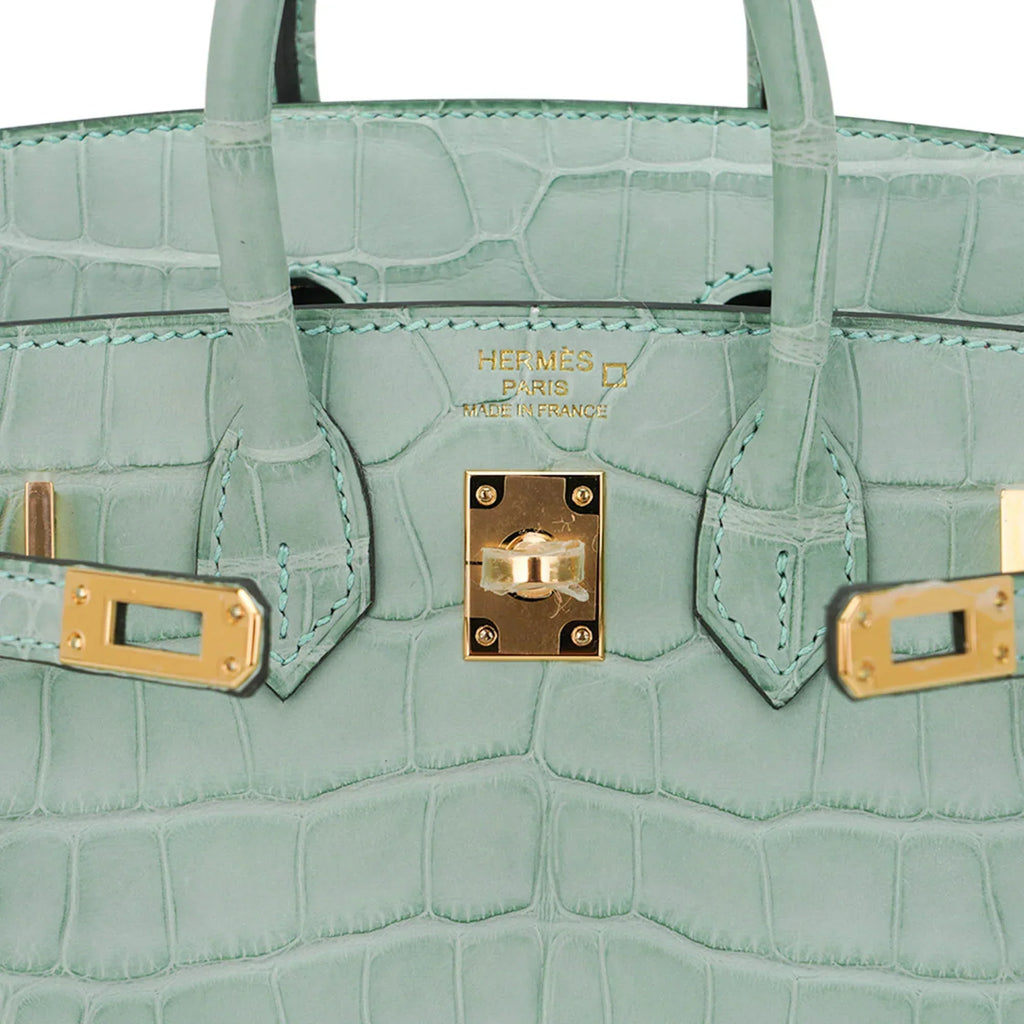 👜Limited Edition Birkin 20 Sellier Bag Vert D’Eau Matte Alligator with Gold Hardware