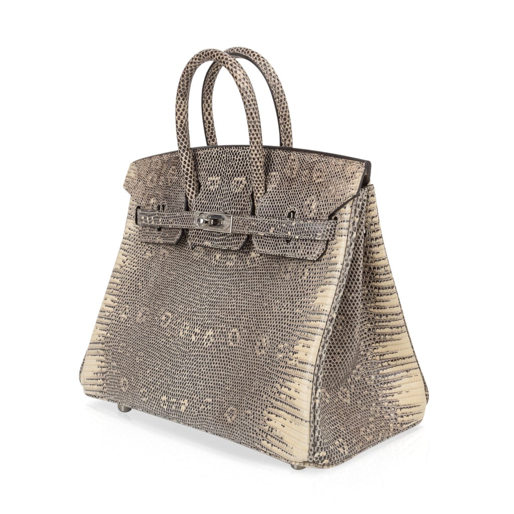 👜Birkin 25 Bag Ombre Lizard Palladium Hardware Holy Grail Bag
