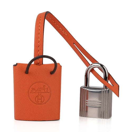 👜Birkin 20 Sellier Limited Edition Faubourg Bag with Palladium Hardware