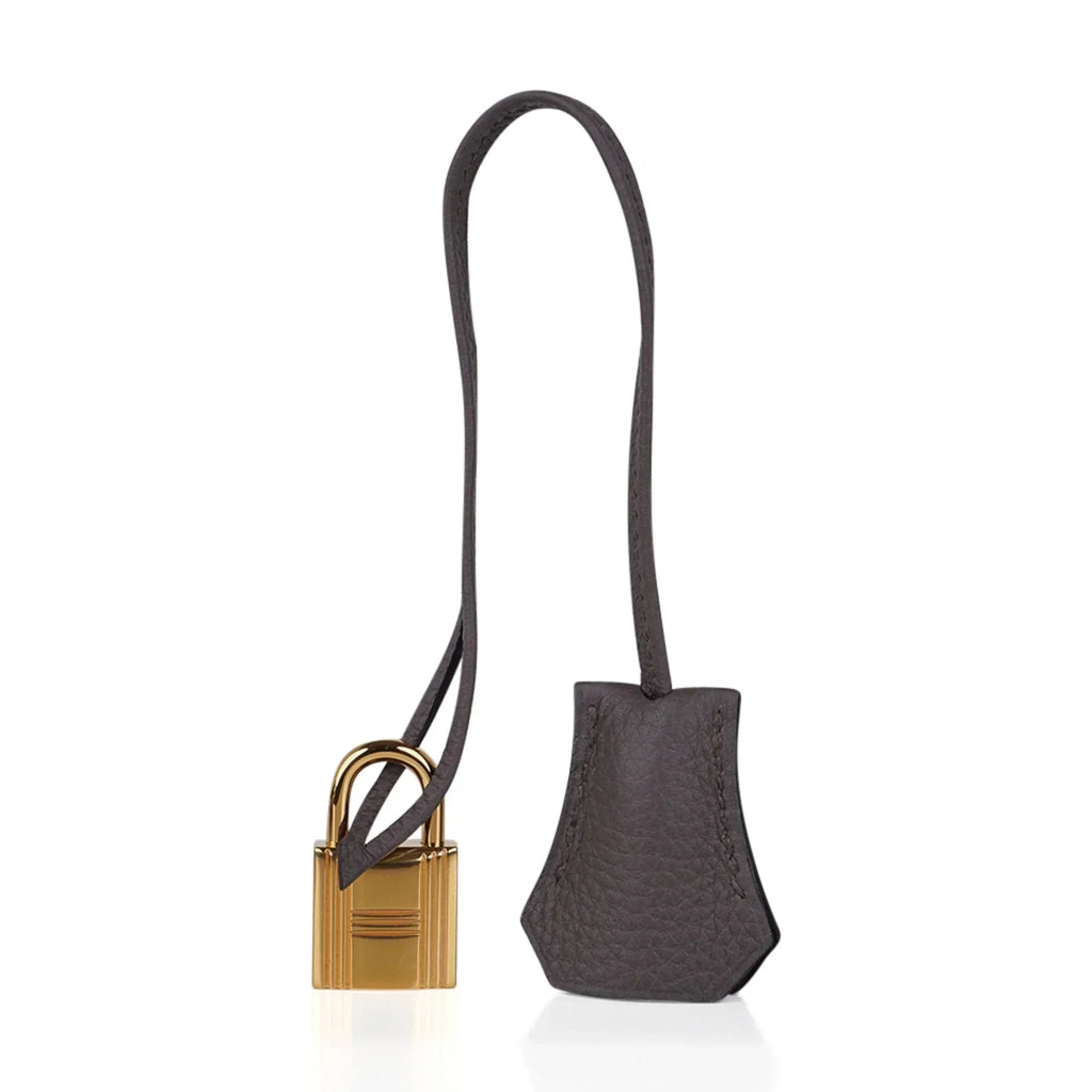 👜Birkin 30 Bag Etain Gray Coveted Gold Hardware Togo