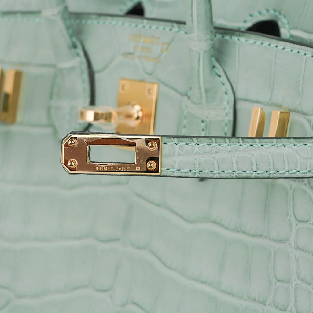 👜Limited Edition Birkin 20 Sellier Bag Vert D’Eau Matte Alligator with Gold Hardware