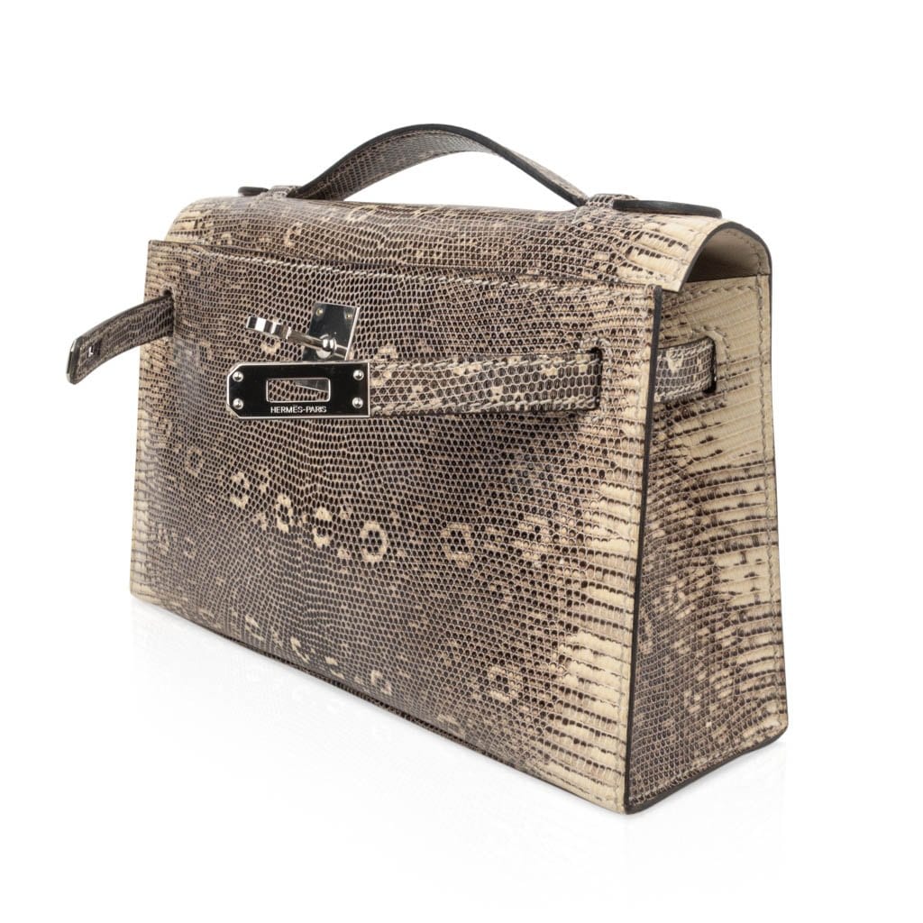 👜Kelly Pochette Bag Ombre Lizard Clutch Palladium Hardware Very Rare