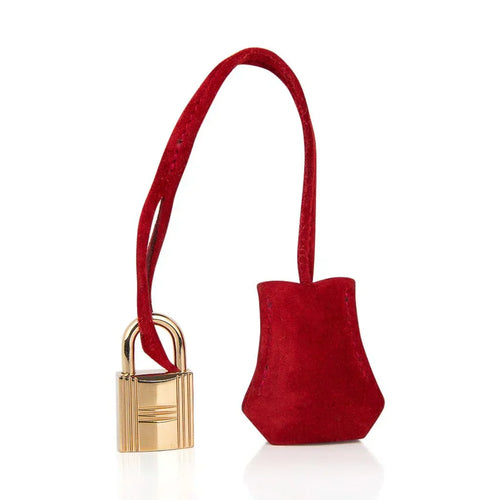 👜Birkin 25 Doblis Bag Rouge Vif Suede Gold Hardware