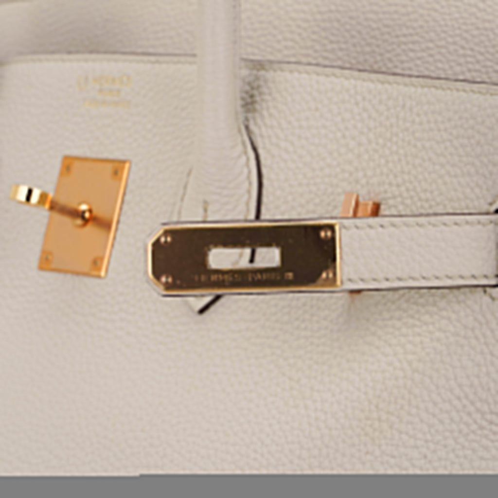 👜HSS Birkin 35 Trench and Corail Togo Leather Special Order Bag
