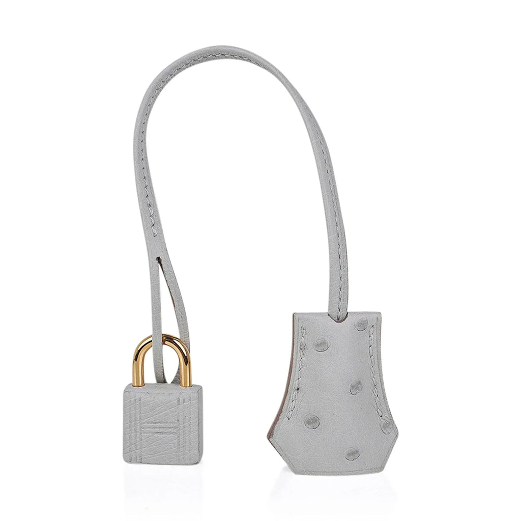👜Birkin 30 Bag Gris Perle Ostrich with Gold Hardware