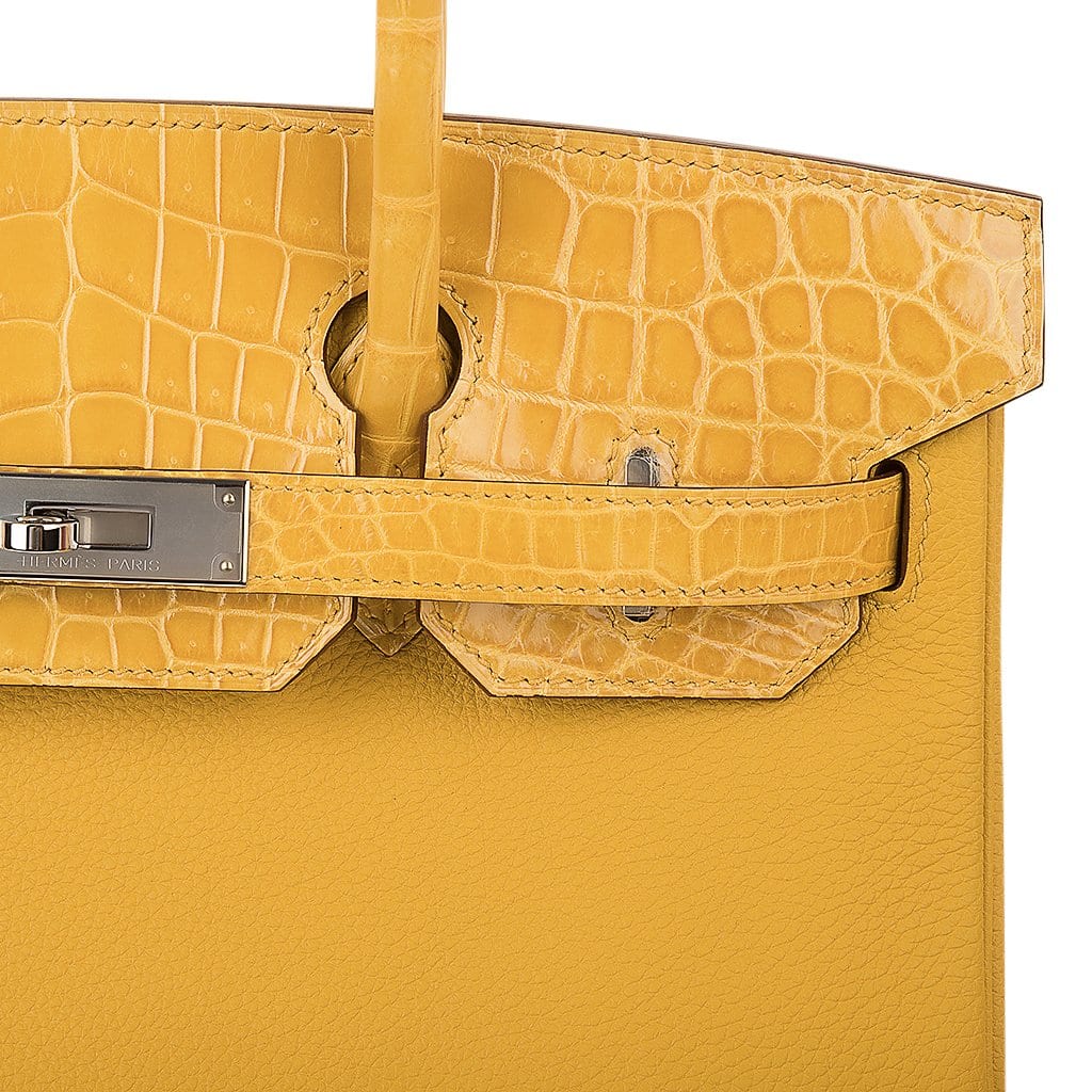 👜Birkin Touch 30 Bag Jaune Ambre Crocodile / Togo Limited Edition