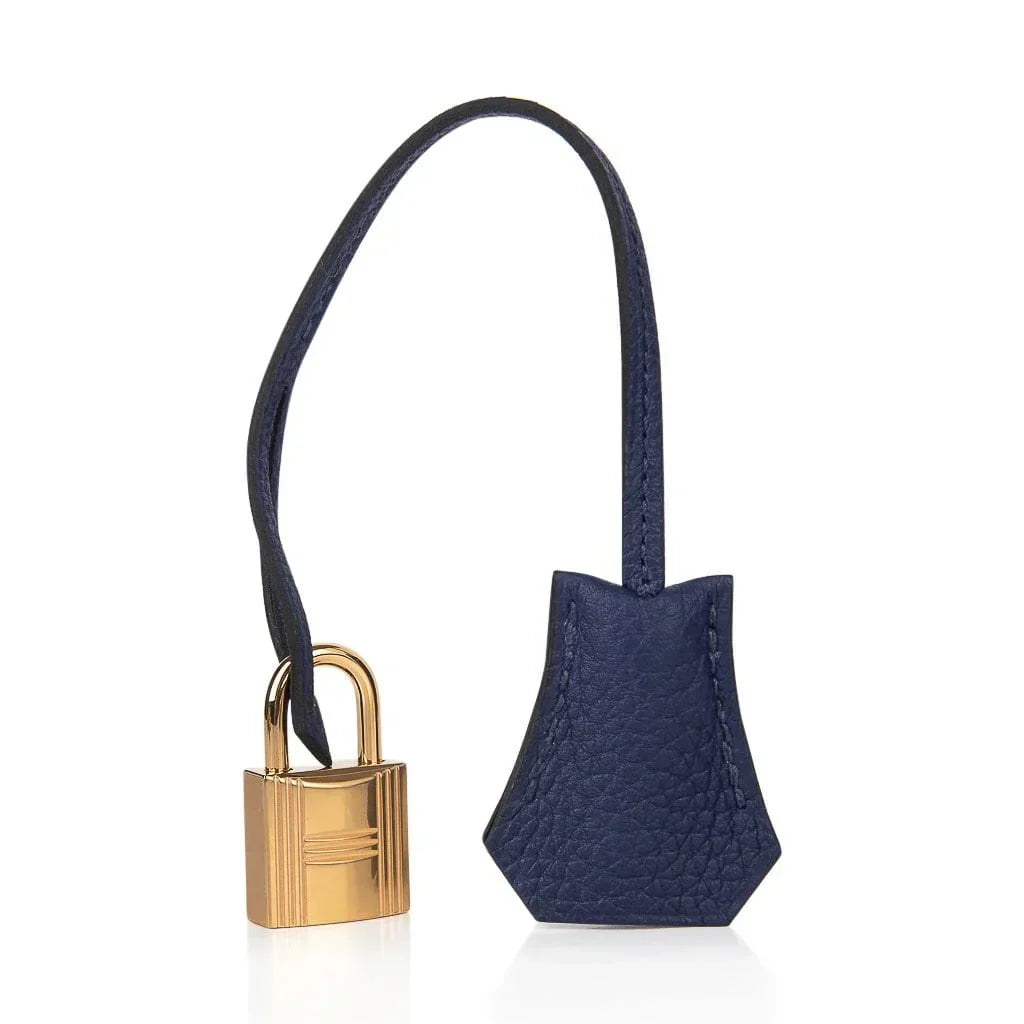👜Birkin 25 Bag Blue Encre Gold Hardware Togo Leather
