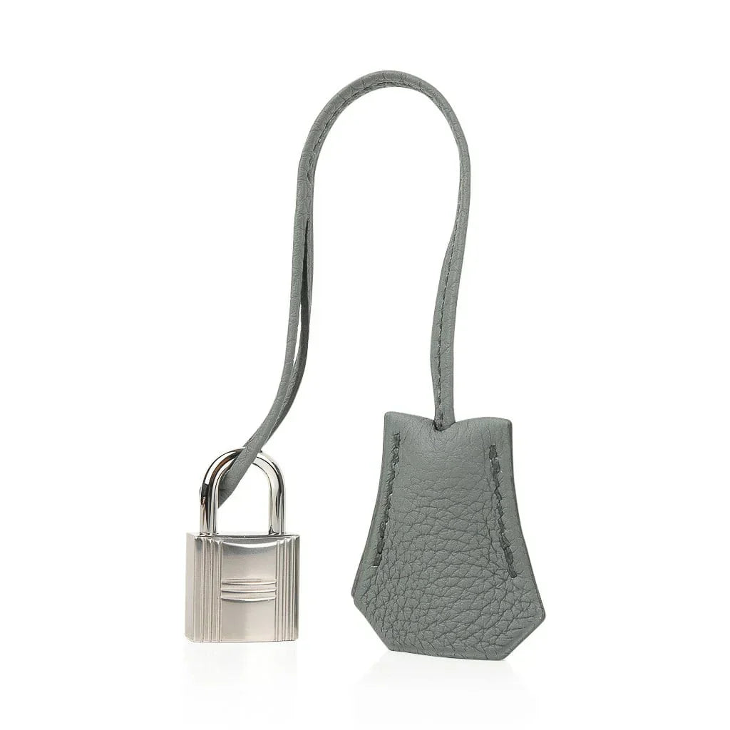 👜Birkin 25 Bag Vert Amande Togo Palladium Hardware