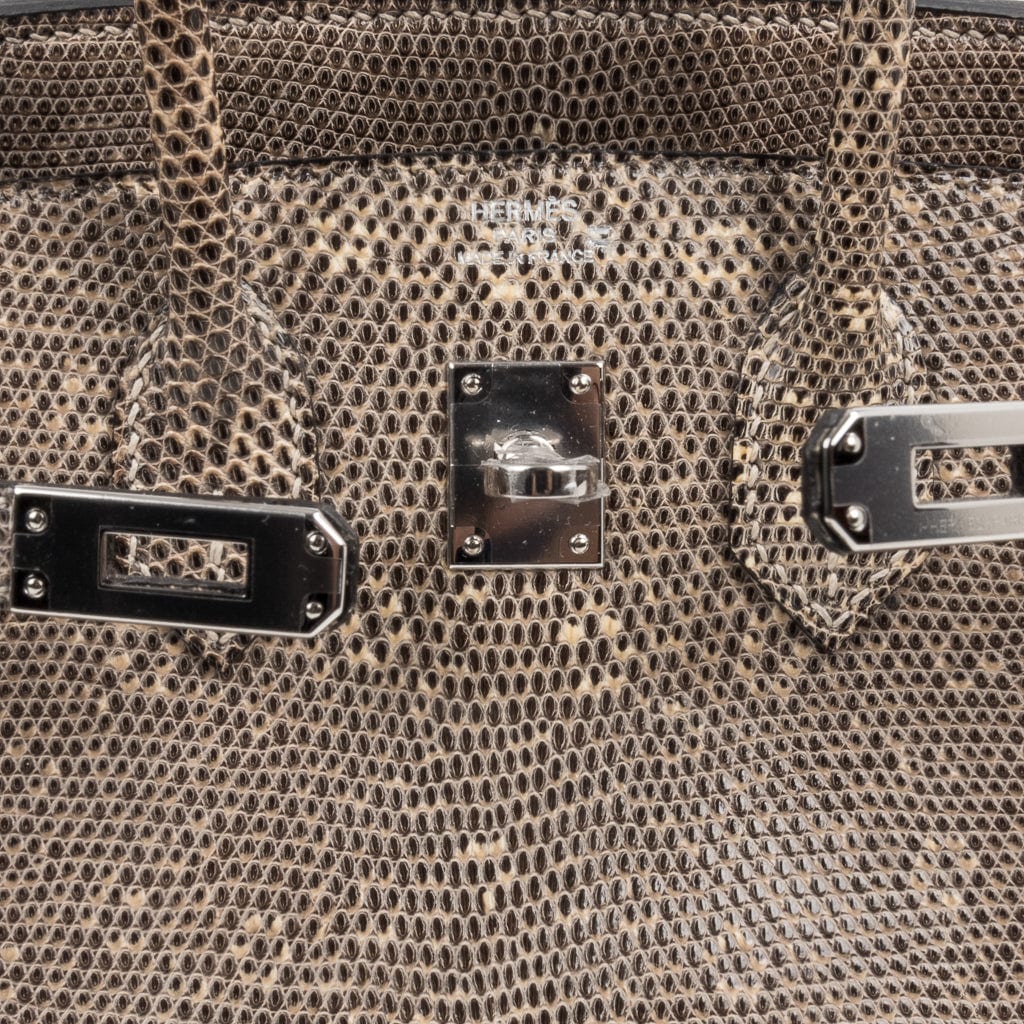👜Birkin 25 Bag Ombre Lizard Palladium Hardware Holy Grail Bag