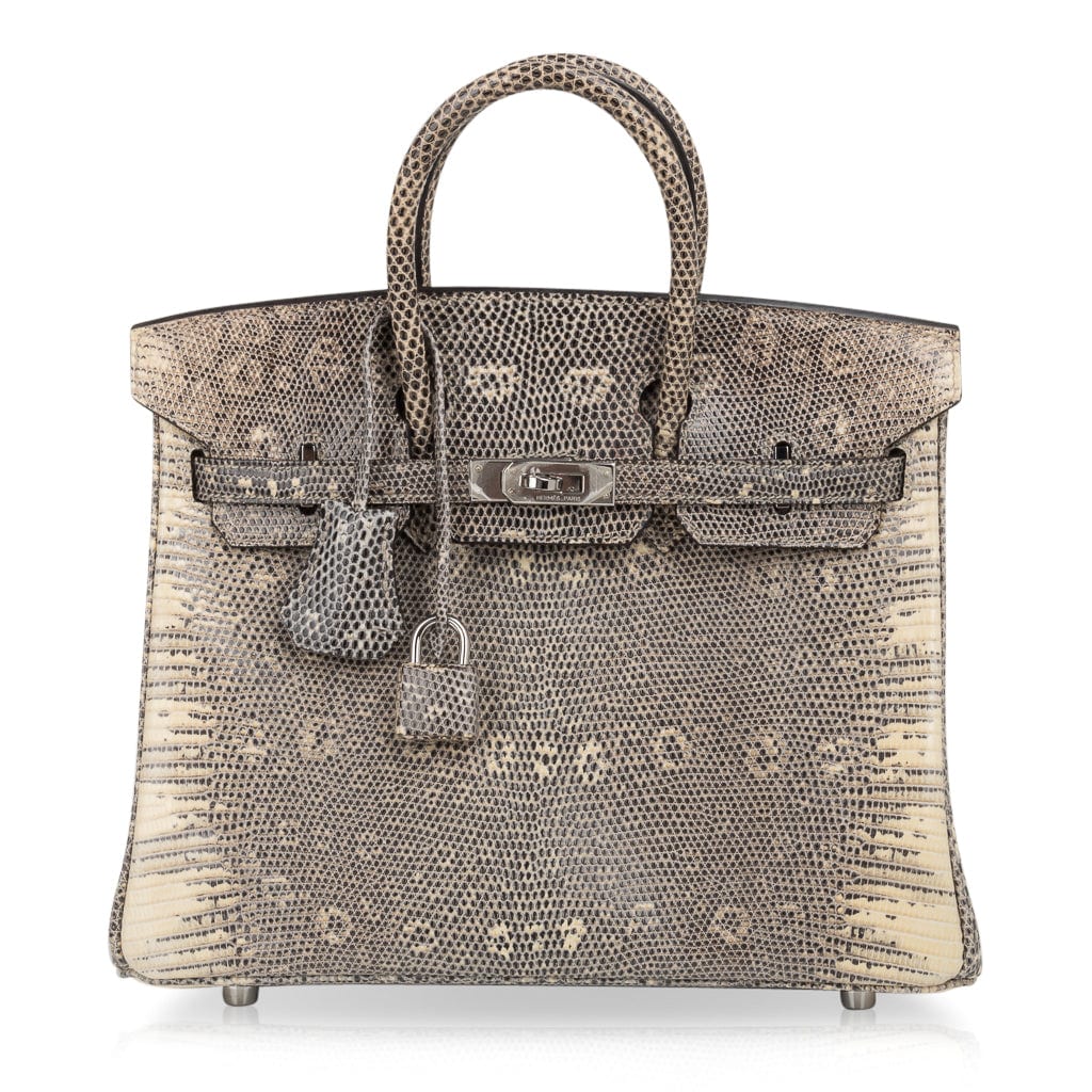 👜Birkin 25 Bag Ombre Lizard Palladium Hardware Holy Grail Bag