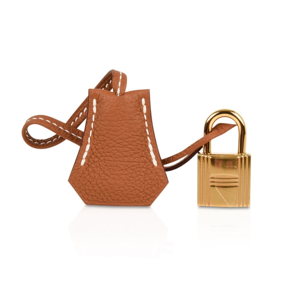 👜Kelly 25 Retourne Bag Coveted Gold Togo Gold Hardware